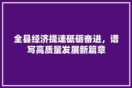 全县经济提速砥砺奋进，谱写高质量发展新篇章