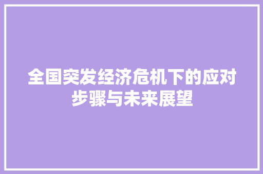全国突发经济危机下的应对步骤与未来展望 全国突发经济危机下的应对步骤与未来展望