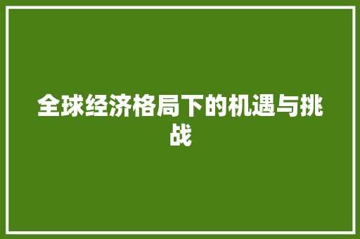 全球经济格局下的机遇与挑战 全球经济格局下的机遇与挑战