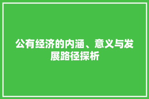 公有经济的内涵、意义与发展路径探析 公有经济的内涵、意义与发展路径探析