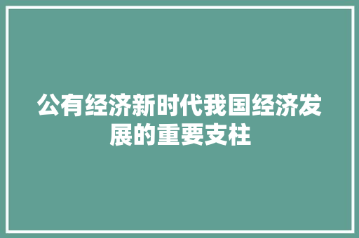 公有经济新时代我国经济发展的重要支柱 公有经济新时代我国经济发展的重要支柱