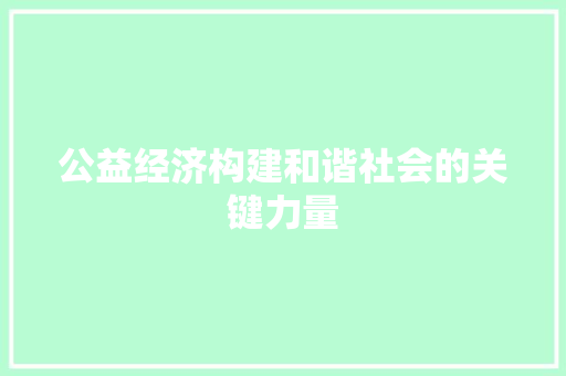 公益经济构建和谐社会的关键力量 公益经济构建和谐社会的关键力量