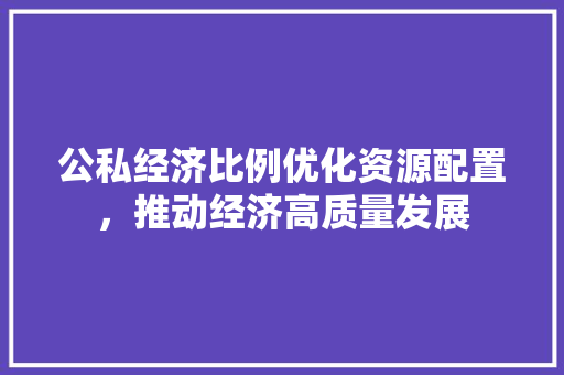 公私经济比例优化资源配置,推动经济高质量发展 公私经济比例优化资源配置,推动经济高质量发展