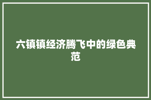 六镇镇经济腾飞中的绿色典范