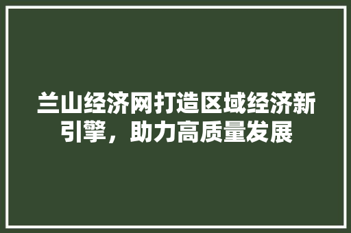 兰山经济网打造区域经济新引擎,助力高质量发展 兰山经济网打造区域经济新引擎,助力高质量发展