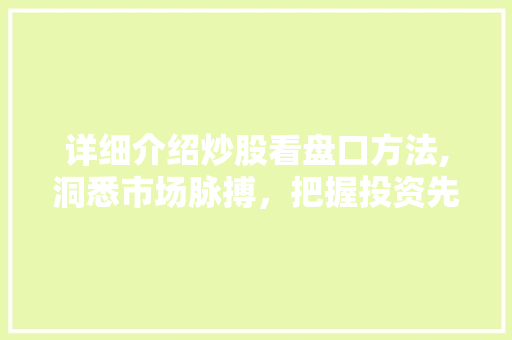 详细介绍炒股看盘口方法,洞悉市场脉搏,把握投资先机 详细介绍炒股看盘口方法,洞悉市场脉搏,把握投资先机