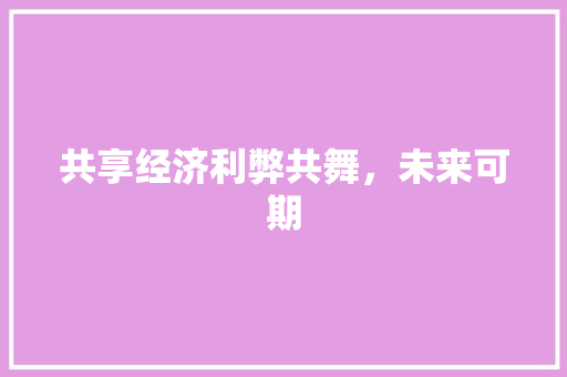 共享经济利弊共舞,未来可期 共享经济利弊共舞,未来可期