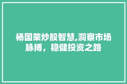 杨国荣炒股智慧,洞察市场脉搏,稳健投资之路 杨国荣炒股智慧,洞察市场脉搏,稳健投资之路
