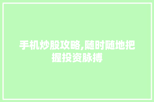 手机炒股攻略,随时随地把握投资脉搏 手机炒股攻略,随时随地把握投资脉搏
