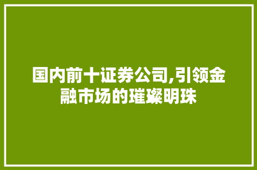 国内前十证券公司,引领金融市场的璀璨明珠