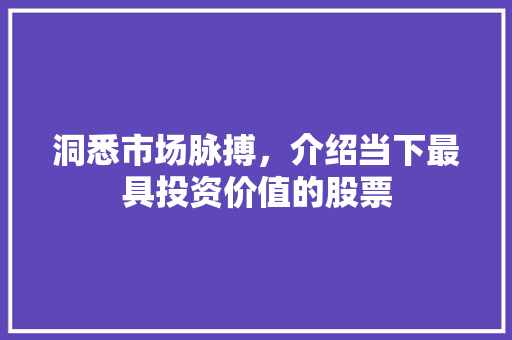 洞悉市场脉搏,介绍当下最具投资价值的股票