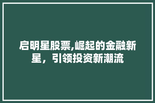 启明星股票,崛起的金融新星,引领投资新潮流