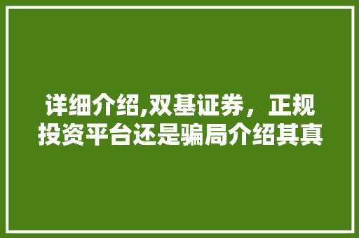 详细介绍,双基证券,正规投资平台还是骗局介绍其真实面目