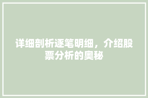 详细剖析逐笔明细，介绍股票分析的奥秘