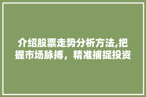 介绍股票走势分析方法,把握市场脉搏,精准捕捉投资良机