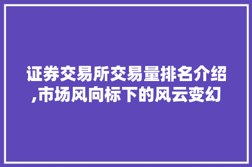 证券交易所交易量排名介绍,市场风向标下的风云变幻
