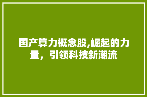 国产算力概念股,崛起的力量,引领科技新潮流 国产算力概念股,崛起的力量,引领科技新潮流