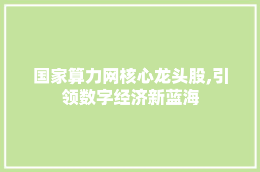 国家算力网核心龙头股,引领数字经济新蓝海 国家算力网核心龙头股,引领数字经济新蓝海