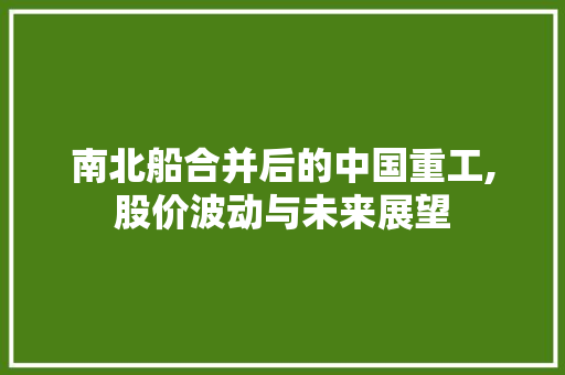 南北船合并后的中国重工,股价波动与未来展望 南北船合并后的中国重工,股价波动与未来展望