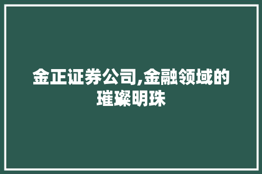 金正证券公司,金融领域的璀璨明珠 金正证券公司,金融领域的璀璨明珠