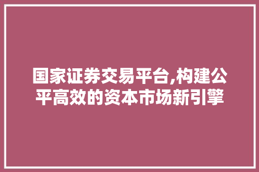 国家证券交易平台,构建公平高效的资本市场新引擎 国家证券交易平台,构建公平高效的资本市场新引擎
