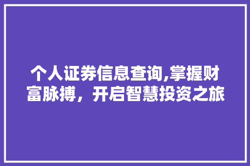 个人证券信息查询,掌握财富脉搏,开启智慧投资之旅 个人证券信息查询,掌握财富脉搏,开启智慧投资之旅