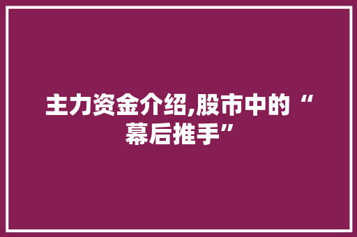 主力资金介绍,股市中的“幕后推手” 主力资金介绍,股市中的“幕后推手”