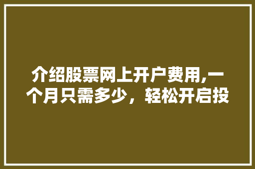 介绍股票网上开户费用,一个月只需多少,轻松开启投资之旅 介绍股票网上开户费用,一个月只需多少,轻松开启投资之旅