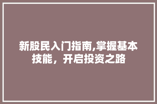 新股民入门指南,掌握基本技能,开启投资之路 新股民入门指南,掌握基本技能,开启投资之路