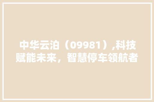 中华云泊（09981）,科技赋能未来，智慧停车领航者