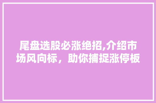 尾盘选股必涨绝招,介绍市场风向标,助你捕捉涨停板 尾盘选股必涨绝招,介绍市场风向标,助你捕捉涨停板