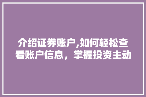 介绍证券账户,如何轻松查看账户信息,掌握投资主动权 介绍证券账户,如何轻松查看账户信息,掌握投资主动权