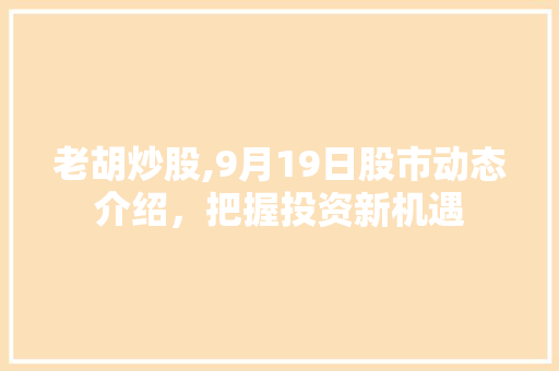 老胡炒股,9月19日股市动态介绍,把握投资新机遇 老胡炒股,9月19日股市动态介绍,把握投资新机遇
