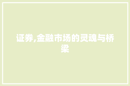证券,金融市场的灵魂与桥梁 证券,金融市场的灵魂与桥梁
