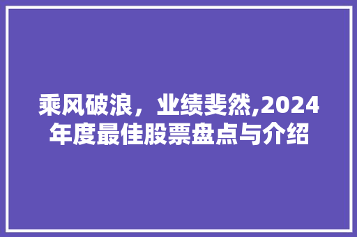 乘风破浪，业绩斐然,2024年度最佳股票盘点与介绍