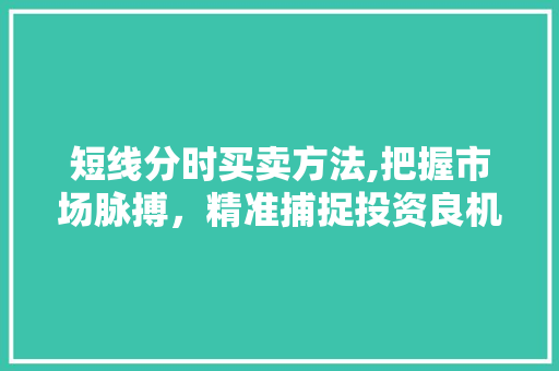 短线分时买卖方法,把握市场脉搏，精准捕捉投资良机