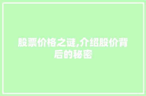 股票价格之谜,介绍股价背后的秘密