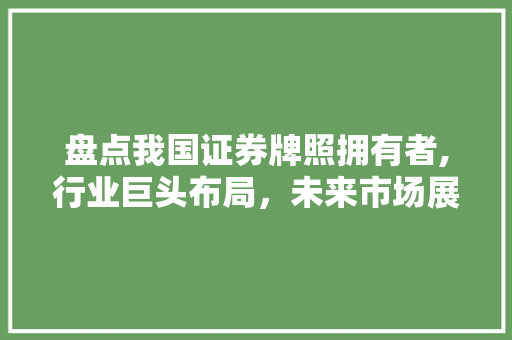 盘点我国证券牌照拥有者,行业巨头布局，未来市场展望