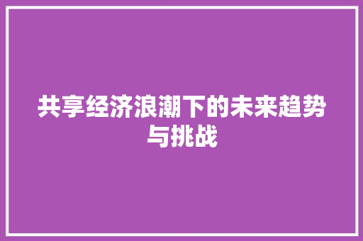 共享经济浪潮下的未来趋势与挑战 共享经济浪潮下的未来趋势与挑战