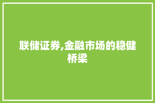 联储证券,金融市场的稳健桥梁 联储证券,金融市场的稳健桥梁