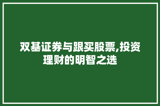 双基证券与跟买股票,投资理财的明智之选 双基证券与跟买股票,投资理财的明智之选