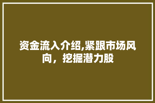 资金流入介绍,紧跟市场风向,挖掘潜力股 资金流入介绍,紧跟市场风向,挖掘潜力股
