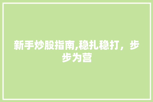 新手炒股指南,稳扎稳打,步步为营 新手炒股指南,稳扎稳打,步步为营