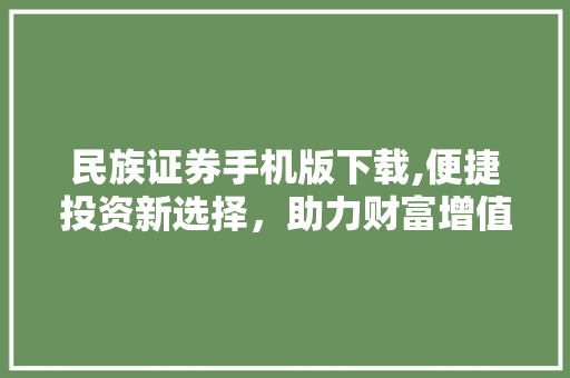民族证券手机版下载,便捷投资新选择,助力财富增值 民族证券手机版下载,便捷投资新选择,助力财富增值