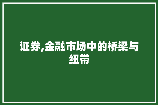 证券,金融市场中的桥梁与纽带 证券,金融市场中的桥梁与纽带