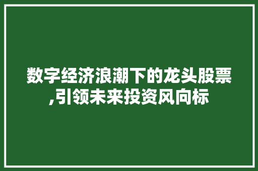 数字经济浪潮下的龙头股票,引领未来投资风向标 数字经济浪潮下的龙头股票,引领未来投资风向标