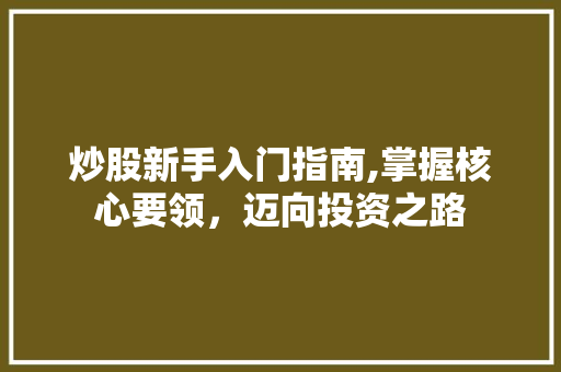 炒股新手入门指南,掌握核心要领,迈向投资之路 炒股新手入门指南,掌握核心要领,迈向投资之路