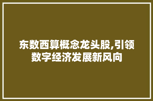 东数西算概念龙头股,引领数字经济发展新风向 东数西算概念龙头股,引领数字经济发展新风向