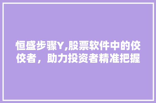 恒盛步骤Y,股票软件中的佼佼者,助力投资者精准把握市场脉搏 恒盛步骤Y,股票软件中的佼佼者,助力投资者精准把握市场脉搏