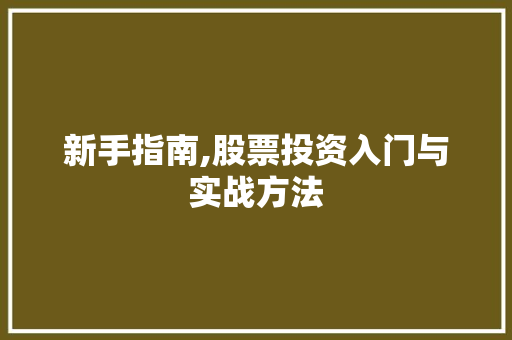 新手指南,股票投资入门与实战方法 新手指南,股票投资入门与实战方法